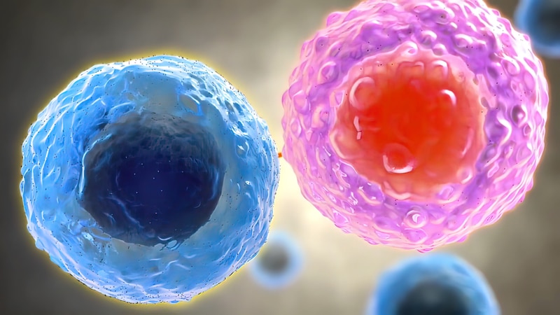 Tumor necrosis factor (TNF): TNF-α & TNF-β