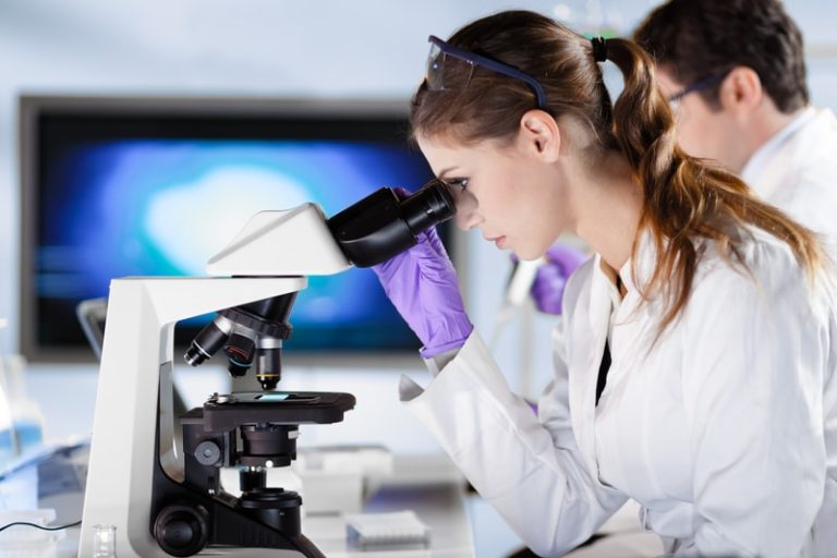 Read more about the article 4 - ELISA Troubleshooting: Normal Standard Curve But Low/No Sample Signal?