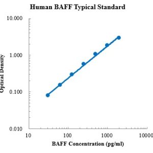Human BAFF/BlyS/TNFSF13B ELISA Kit