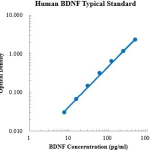 Human BDNF ELISA Kit