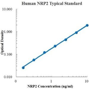 Human Neuropilin-2/NRP2 ELISA Kit