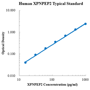 Human XPNPEP2 ELISA Kit