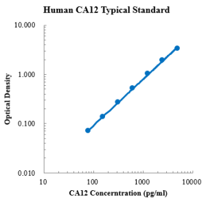 Human Carbonic Anhydrase XII/CA12 ELISA Kit
