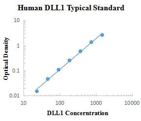 Human DLL1 ELISA Kit