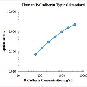 Human P-Cadherin ELISA Kit