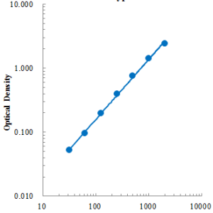 Human Fas/TNFRSF6/CD95 ELISA Kit