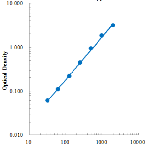 Human MMP-13 ELISA Kit