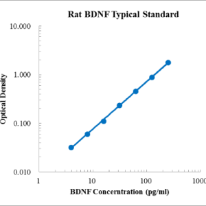 Rat BDNF ELISA Kit