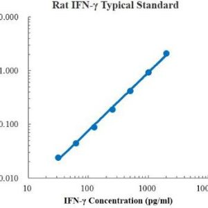 Rat IFN-γ ELISA Kit