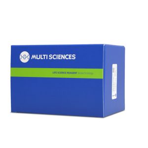 Cell Cycle Staining Kit