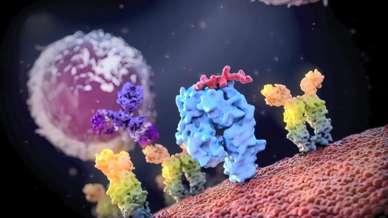 Read more about the article 【Flow cytometry】A Review of Apoptosis Data Analysis Techniques