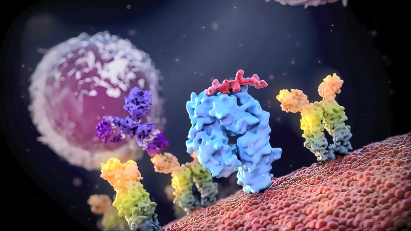 【Flow cytometry】A Review of Apoptosis Data Analysis Techniques